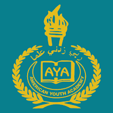 American Youth Academy Logo