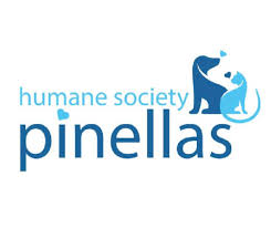 Pinllas Logo